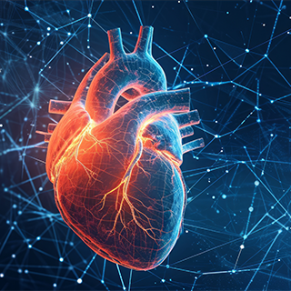 Florida Cardiac Imaging Course (Florida Meets Liverpool) Banner